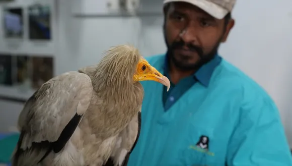 veterinary personnel.jpg