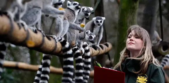 Wildlife conservation zoo universities.jpg