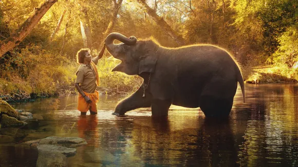 The Elephant Whisperers