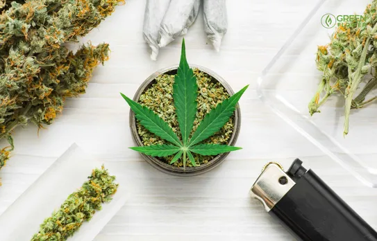 consuming cannabis