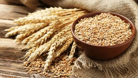 Wheat MSP Hike