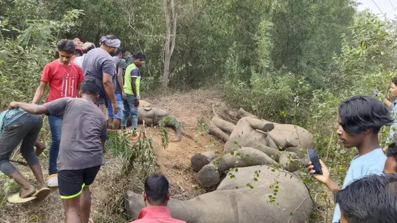 Singhbum Elephant Death