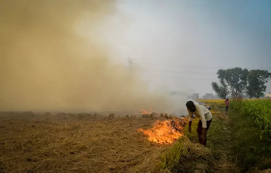 Stubble Burning