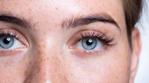 eyelashes eyebrows