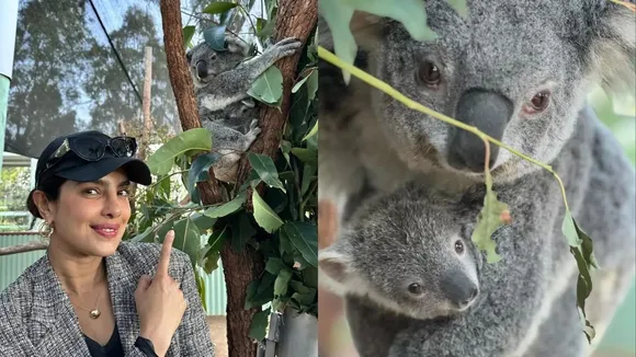 Actor Priyanka Chopra Jonas with an eight-month-old koala joey at an Australian homestead