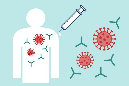 Antibodies that may lead to next-gen vaccines for all Covid strains found