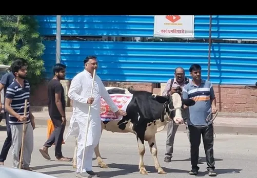 Pushhkar MLA Suresh Singh Rawat brings Cow in Rajasthan assembly