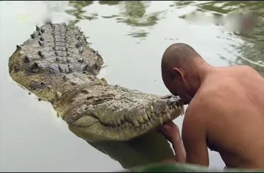 Decades-old vegetarian crocodile of Sri Ananthapadmanabha Swamy temple in Kasaragod dead