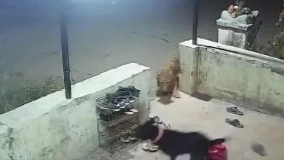 Screengrab of the video tweeted by ANI