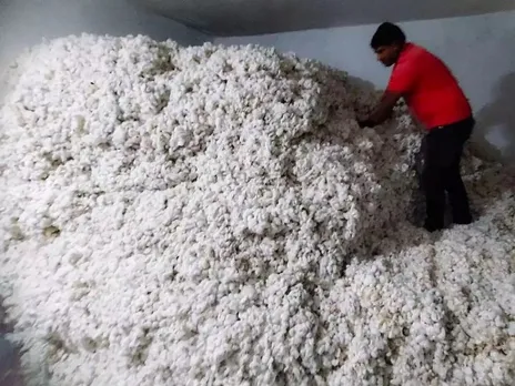 Raw Cotton 