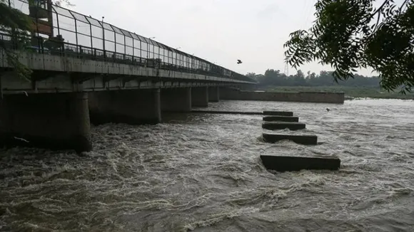 Yamuna river in Delhi (File photo)