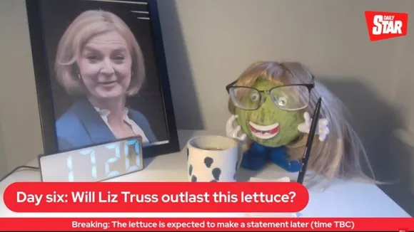 Screengrab from viral video