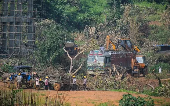 Aarey Colony (File photo)