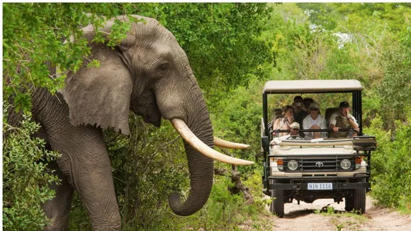 BANDIPURA SAFARI CLOSED FROM TODAY