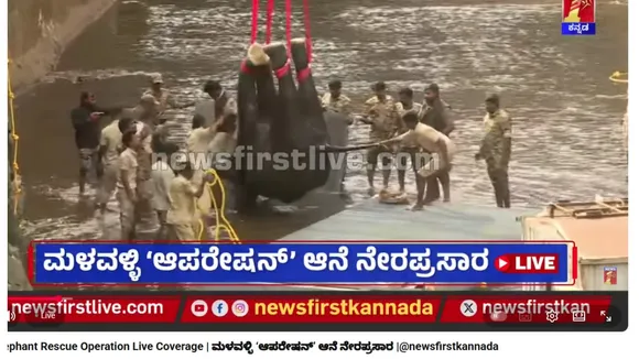 elephant rescue operation03