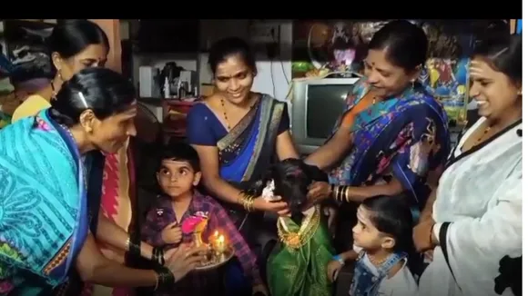 DOG BABY SHOWER AT HALIYALA