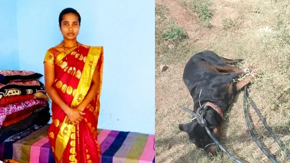 RATWILLER DOG ATTACK ON ANITHA