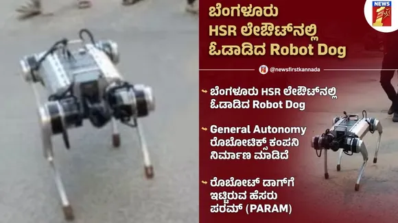 Robot dog