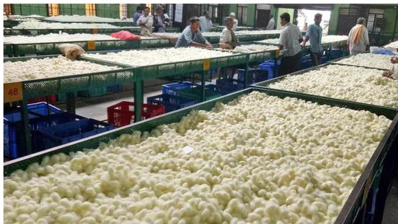 RAMNAGAR SILKWORM PRICE RISE