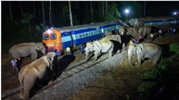 assam rail accident by hitting elephant (1)