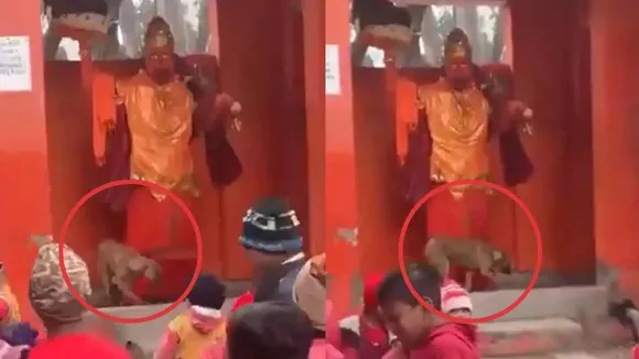 DOG ROUNDS HANUMAN STATUE IN BIJANOOR (1)