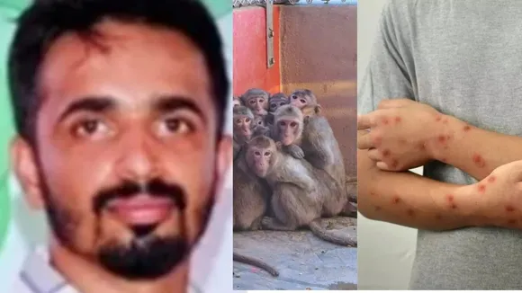 MONKEY SCARE IN CHIKKAMAGALURU