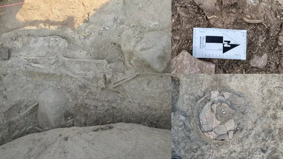 Human Skeleton Found (4)