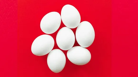 ಉರಿ ಬಿಸಿಲ ತಾಪತ್ರೆ ಒಂದಲ್ಲ ಎರಡಲ್ಲ.. ಕೋಳಿ ಮೊಟ್ಟೆಗೂ ಗುನ್ನಾ ಕೊಟ್ಟ ರಣಬಿಸಿಲು..!