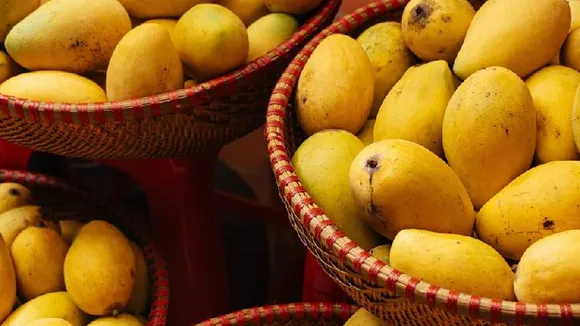 ಇದು ಮಾವಿನ ಹಣ್ಣಿನ ಸೀಸನ್​.. ತಿನ್ನೋದು ಮಿಸ್​ ಮಾಡಿದ್ರೆ ನಿಮ್ಮ ಆರೋಗ್ಯಕ್ಕೆ ನಷ್ಟ!