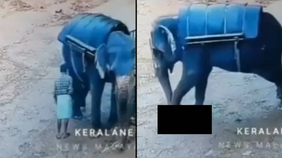 VIDEO: ಮಾವುತನನ್ನು ಕಾಲಿನಿಂದ ತುಳಿದು ಸಾಯಿಸಿದ ಆನೆ.. ಭಯಾನಕವಾಗಿದೆ ಈ ದೃಶ್ಯ