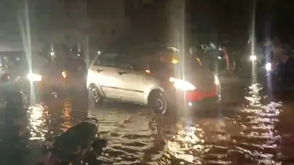 ಧಾರಾಕಾರ ಮಳೆಗೆ ಸಿಲಿಕಾನ್​ ಸಿಟಿಯಲ್ಲಿ ಪ್ರಾಬ್ಲಮ್ಸ್​.. ನೆಲಕ್ಕೆ ಉರುಳಿದ 118 ಮರಗಳು; ಇಲ್ಲಿ ಏನೇನಾಗಿದೆ ಗೊತ್ತಾ?