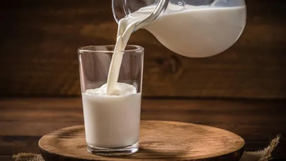 ಅತಿಯಾದ್ರೆ ಅಮೃತವೂ ಅಪಾಯ.. ನೀವು ದಿನ ಅತಿಯಾಗಿ ಹಾಲು ಕುಡಿತಾ ಇದ್ದೀರಾ; ಹಾಗಿದ್ರೆ ಈ ಸ್ಟೋರಿ ಓದಲೇಬೇಕು!