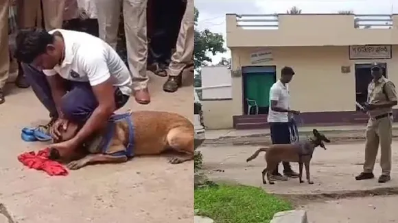 8 ವರ್ಷದ ಮಗುವಿನ ಮೇಲೆ 14 ವರ್ಷದ ಬಾಲಕರಿಂದ ಲೈಂಗಿಕ ದೌರ್ಜನ್ಯ.. ಕೊಲೆ ಮಾಡಿ ಕಾಲುವೆಗೆ ಎಸೆದ ರಾಕ್ಷಸರು