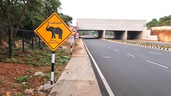 ನಿಮ್ಮ ತಲೆ ಮೇಲೆಯೇ ಕಾಡುಪ್ರಾಣಿಗಳು ಹಾದು ಹೋಗುತ್ತವೆ! ಫಸ್ಟ್​ ಟೈಂ ಬೆಂಗಳೂರಲ್ಲಿ ‘ಎಲಿಫೆಂಟ್​ ಓವರ್​ ಪಾಸ್’ ​