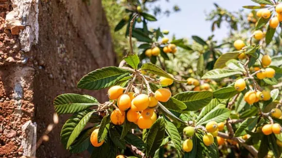 ಪ್ರಾತಿನಿಧಿಕ ಚಿತ್ರ