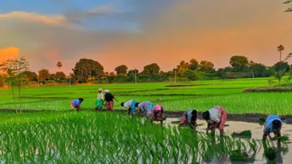 ಮೋದಿ 3.0 ಮೊದಲ ಬಜೆಟ್​ಗೆ ದಿನಗಣನೆ: ನಿರ್ಮಲಾ ಆಯವ್ಯಯದ ಮೇಲೆ ನಿರೀಕ್ಷೆಗಳ ಮಹಾಪೂರ: ಶ್ರೀಸಾಮಾನ್ಯ ಏನೆಲ್ಲಾ ಬಯಸುತ್ತಿದ್ದಾನೆ..?