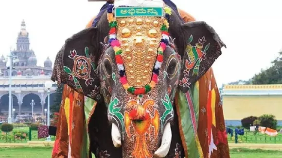 Mysore Dasara 2024: ಗಜಪಯಣಕ್ಕೆ ಚಾಲನೆ.. ಇಂದು ಮೈಸೂರಿಗೆ ಆಗಮಿಸಲಿರೋ ಅಭಿಮನ್ಯು ಮತ್ತು ಟೀಂ