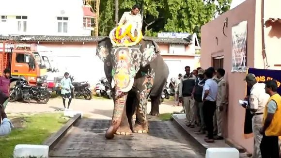 DASARA 2024: ತೂಕದಲ್ಲಿ ಕ್ಯಾಪ್ಟನ್ ಅಭಿಮನ್ಯುವೇ ನಂಬರ್ ಒನ್! ಆನೆಗಳ ತೂಕ ಮತ್ತು ಆರೋಗ್ಯದ ಬಗ್ಗೆ ಇಲ್ಲಿದೆ ಮಾಹಿತಿ