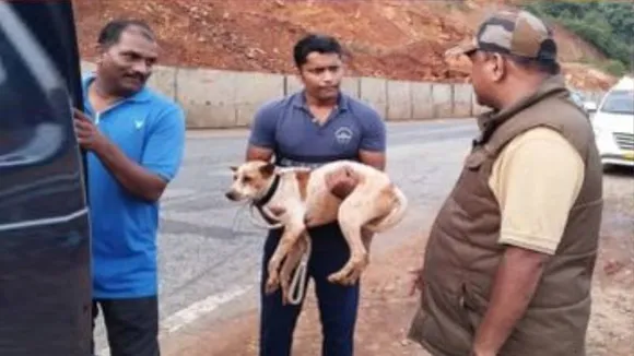 ಪೊಲೀಸ್​ ಜೀಪ್​ ಏರಿದ ಶಿರೂರು ಶ್ವಾನ.. ತಬ್ಬಲಿಗಳ ರೋದನೆಗೆ ಮರುಗಿದ ಜಿಲ್ಲಾ ಪೊಲೀಸ್​ ವರಿಷ್ಠಾಧಿಕಾರಿ