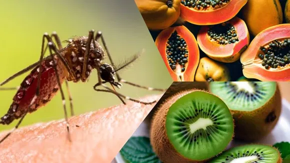 Dengue: ಪ್ಲೇಟ್ಲೆಟ್​​ ​ಹೆಚ್ಚಿಸಲು ಈ 5 ಹಣ್ಣುಗಳನ್ನು ಸೇವಿಸಿ; ಆಮೇಲೆ ಮ್ಯಾಜಿಕ್​ ನೋಡಿ!