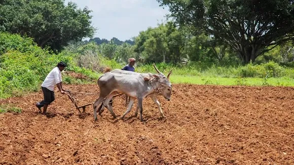 ಕೃಷಿಯಿಂದ ಕೋಟಿ ಕೋಟಿ ದುಡಿಯುವುದು ಹೇಗೆ? ನೀವು ಓದಲೇಬೇಕಾದ ಸ್ಟೋರಿ ಇದು