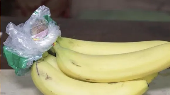 ಬಾಳೆಹಣ್ಣಿನ ಹೆಸರಲ್ಲಿ ಮಾರಲಾಗುತ್ತಿದೆ ಕ್ಯಾನ್ಸರ್; ನೀವು ತಿನ್ನುವ ಈ ಫಲದ ಬಗ್ಗೆ ಇರಲಿ ಎಚ್ಚರ