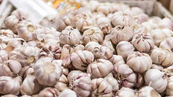 ಬ್ಯಾನ್​ ಆದ್ರೂ ಭಾರತಕ್ಕೆ ಕಳ್ಳದಾರಿಯಲ್ಲಿ ಬರುತ್ತಿದೆ ಚೀನಾ ಬೆಳ್ಳುಳ್ಳಿ.. ಇದನ್ನು ತಿಂದ್ರೆ ಕ್ಯಾನ್ಸರ್​ ಬರುತ್ತೆ ಹುಷಾರ್!