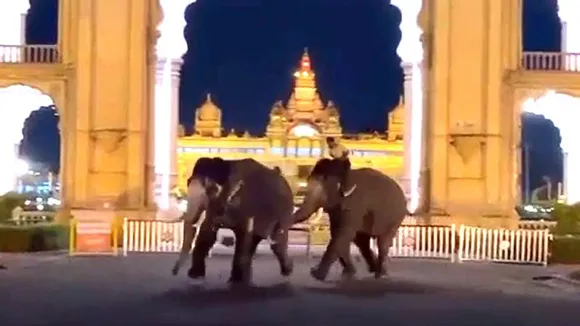 ಆಕೆ ಇಲ್ಲದ್ದಕ್ಕೆ ಕಂಜನ್​ ಜೊತೆ ಕಿರಿಕ್​​.. ಅಟ್ಟಾಡಿಸಿಕೊಂಡು ಹೋದ ಧನಂಜಯ