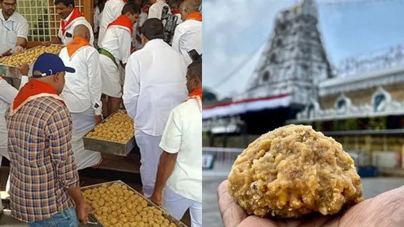 ತಿರುಪತಿ ಲಡ್ಡು ಬಗ್ಗೆ ಪ್ರಕಾಶ್ ರಾಜ್ ಏನಂದ್ರು, ಪವನ್ ಕಲ್ಯಾಣ್ ಗರಂ ಆಗಿದ್ದೇಕೆ.. ಪುರಿ ಜಗನ್ನಾಥ ಪ್ರಸಾದದಲ್ಲೂ..?