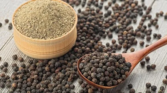 ಕರಿಮೆಣಸಿನಲ್ಲಿದೆ ಹಲವು ಆರೋಗ್ಯಕಾರಿ ಅಂಶಗಳು; ಯಾವೆಲ್ಲಾ ಸಮಸ್ಯೆಗಳಿಗೆ ರಾಮಬಾಣ ಗೊತ್ತಾ?