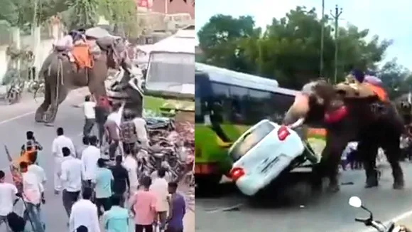 VIDEO: ದಸರಾ ಹಬ್ಬದ ನಡುವೆ  ಮದವೇರಿಸಿಕೊಂಡ ಗಜರಾಜ! ಸಿಕ್ಕ ಸಿಕ್ಕ ಕಾರುಗಳು ನಜ್ಜುಗುಜ್ಜು