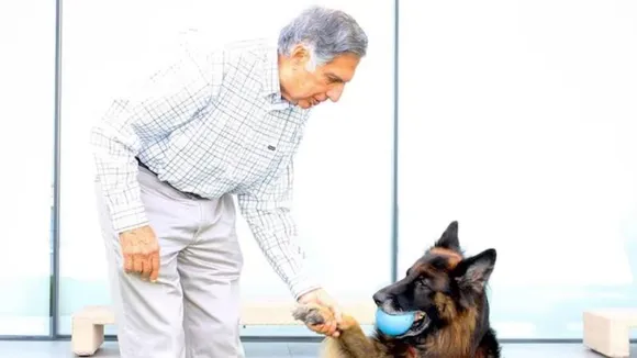 ಸಂಬಂಧಿಗಳಿಗೆ ಮಾತ್ರವಲ್ಲ ಪ್ರೀತಿಯ ಶ್ವಾನಕ್ಕೂ ಆಸ್ತಿಯಲ್ಲಿ ಪಾಲಿಟ್ಟಿರುವ ರತನ್​ ಟಾಟಾ! ಉಯಿಲಿನಲ್ಲಿ ಏನಿದೆ?