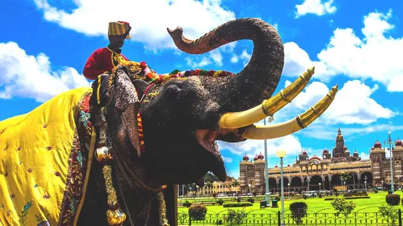 Mysore Dasara: ಅಭಿಮನ್ಯು ಕೊಡಗಿನ ಕುವರ.. ಅಂಬಾರಿ ಹೊರವವನ ಸಾಧನೆ ಒಂದೆರಡಲ್ಲ!
