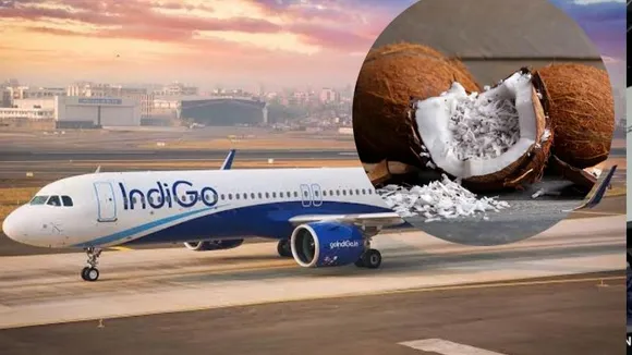 ವಿಮಾನಗಳಲ್ಲಿ ತೆಂಗಿನಕಾಯಿಯನ್ನು ತೆಗೆದುಕೊಂಡು ಹೋಗಲು ನಿರ್ಬಂಧವೇಕೆ? ಇಲ್ಲಿವೆ ಕಾರಣಗಳು